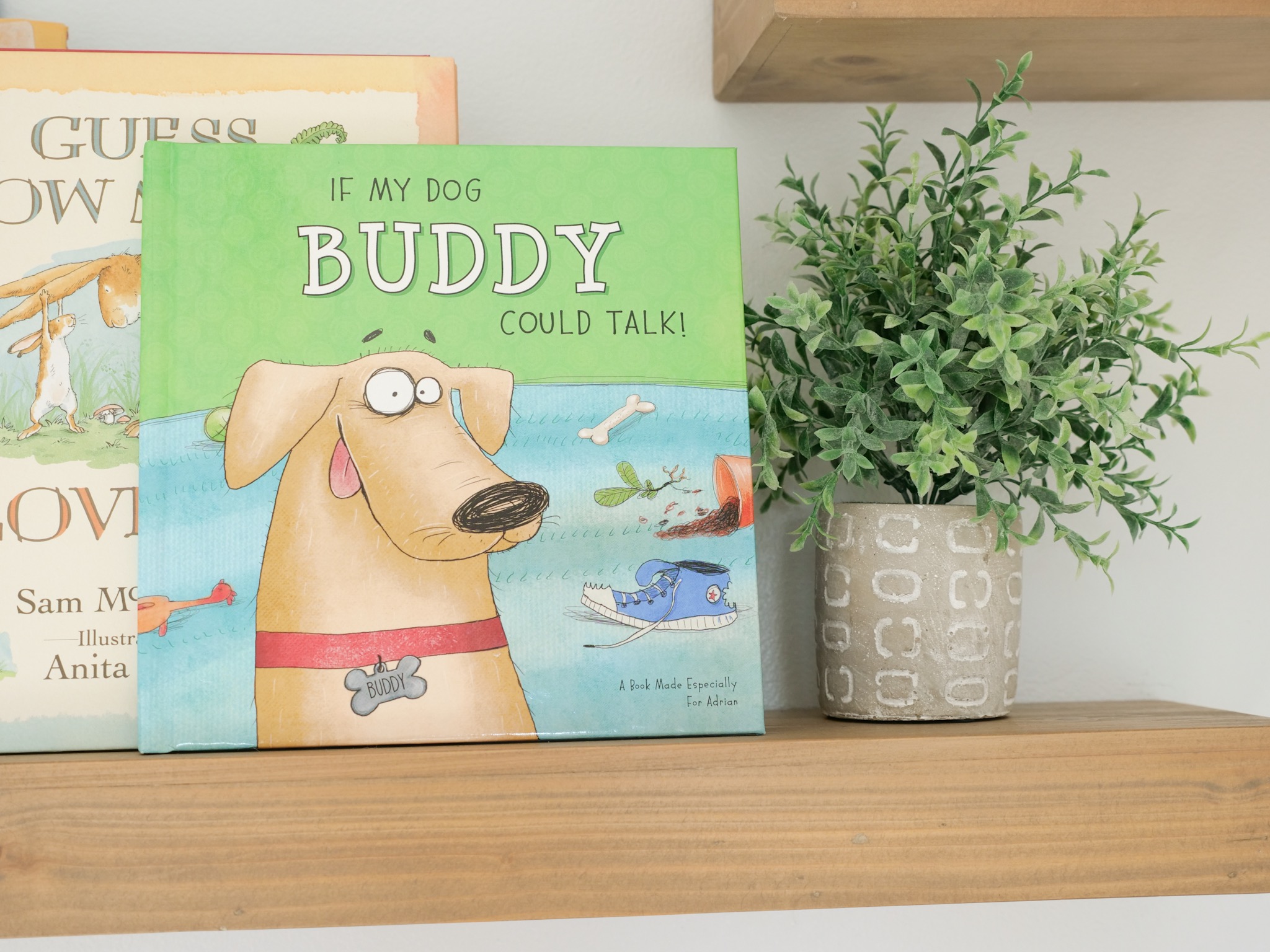 iseeme custom book for buddy the dog