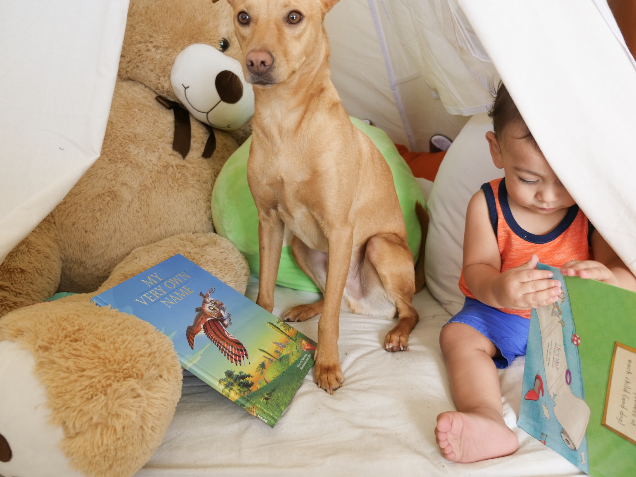 toddler reading with dog sitting nearby