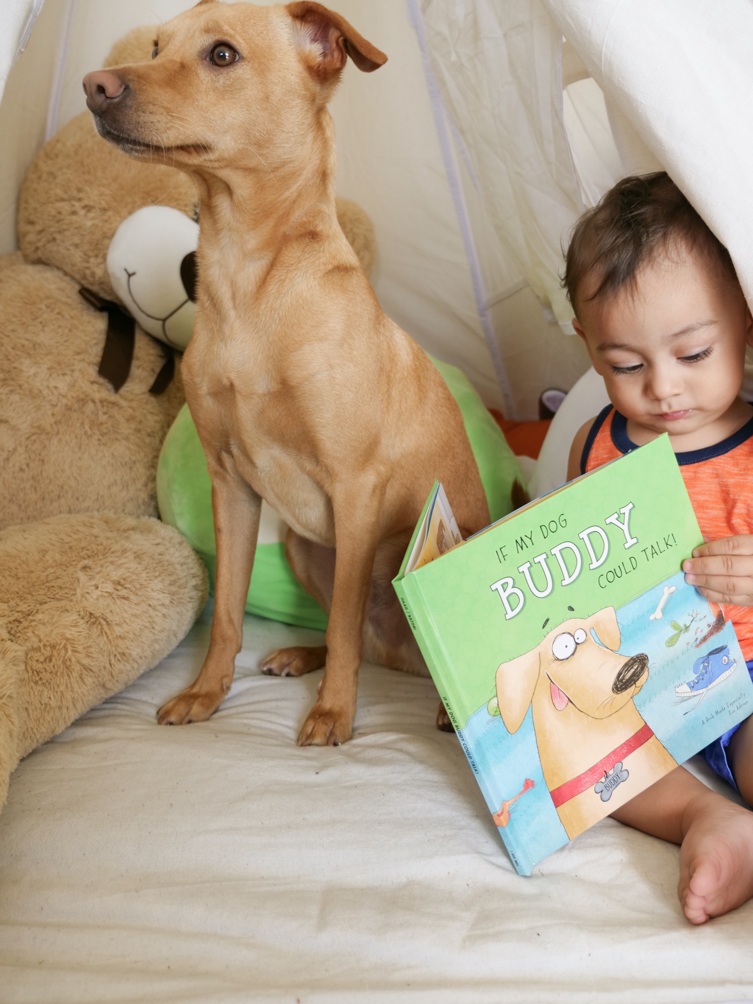 baby sitting down reading book next to dog